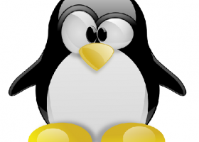 Managing SWAP Partitions – RHEL 6.x – CentOS 6.x