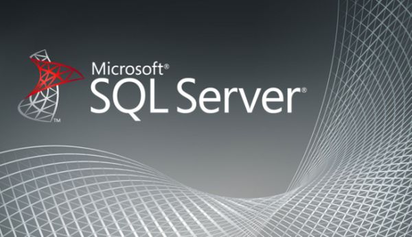 Microsoft SQL Server 2008 Best Practices in VMware vSphere 4.x