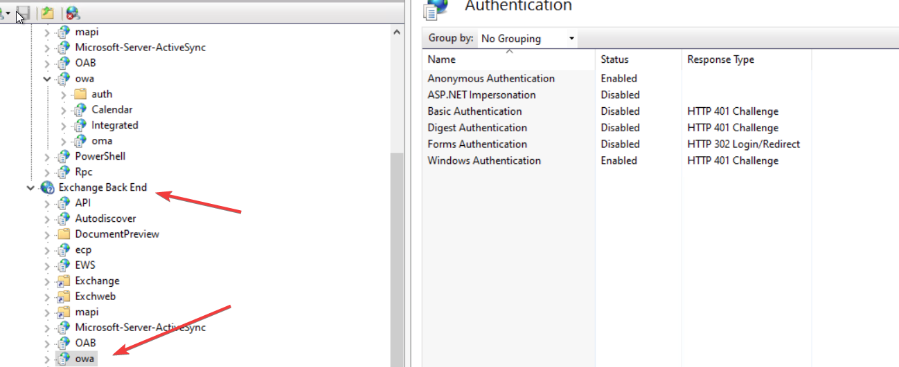 IIS Exchange Back End OWA authentication settings showing Anonymous Authentication and Windows Authentication enabled by default