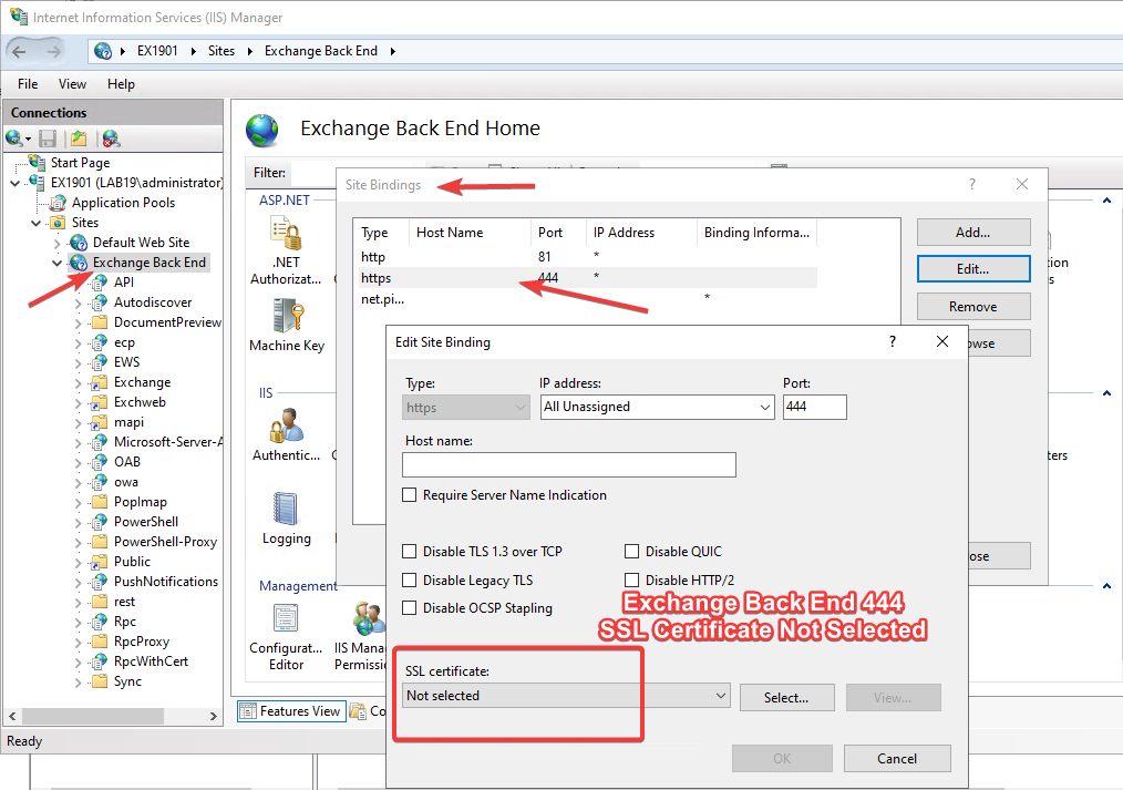 Exchange Back End HTTPS port 444 binding with no SSL certificate selected