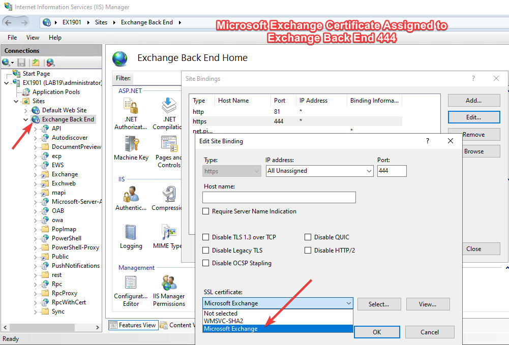Microsoft Exchange self-signed certificate assigned to Exchange Back End HTTPS port 444
